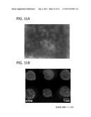 DECORATING HYDROXYAPATITE BIOMATERIALS WITH MODULAR BIOLOGICALLY ACTIVE     MOLECULES diagram and image