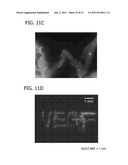 DECORATING HYDROXYAPATITE BIOMATERIALS WITH MODULAR BIOLOGICALLY ACTIVE     MOLECULES diagram and image