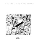 ELECTRODE FOR POLYMER ELECTROLYTE MEMBRANE FUEL CELL AND METHOD FOR     FORMING MEMBRANE-ELECTRODE ASSEMBLY USING THE SAME diagram and image