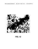 ELECTRODE FOR POLYMER ELECTROLYTE MEMBRANE FUEL CELL AND METHOD FOR     FORMING MEMBRANE-ELECTRODE ASSEMBLY USING THE SAME diagram and image