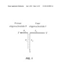 Polynucleotide Primers and Probes diagram and image