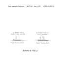 Polynucleotide Primers and Probes diagram and image