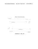 Polynucleotide Primers and Probes diagram and image