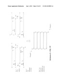 Polynucleotide Primers and Probes diagram and image