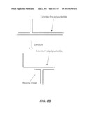 Polynucleotide Primers and Probes diagram and image