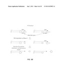 Polynucleotide Primers and Probes diagram and image