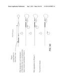 Polynucleotide Primers and Probes diagram and image