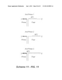 Polynucleotide Primers and Probes diagram and image