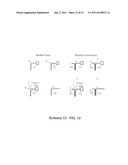 Polynucleotide Primers and Probes diagram and image