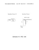 Polynucleotide Primers and Probes diagram and image