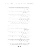 Polynucleotide Primers and Probes diagram and image