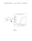 Polynucleotide Primers and Probes diagram and image