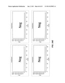 Polynucleotide Primers and Probes diagram and image