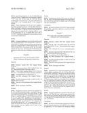 Polynucleotide Primers and Probes diagram and image