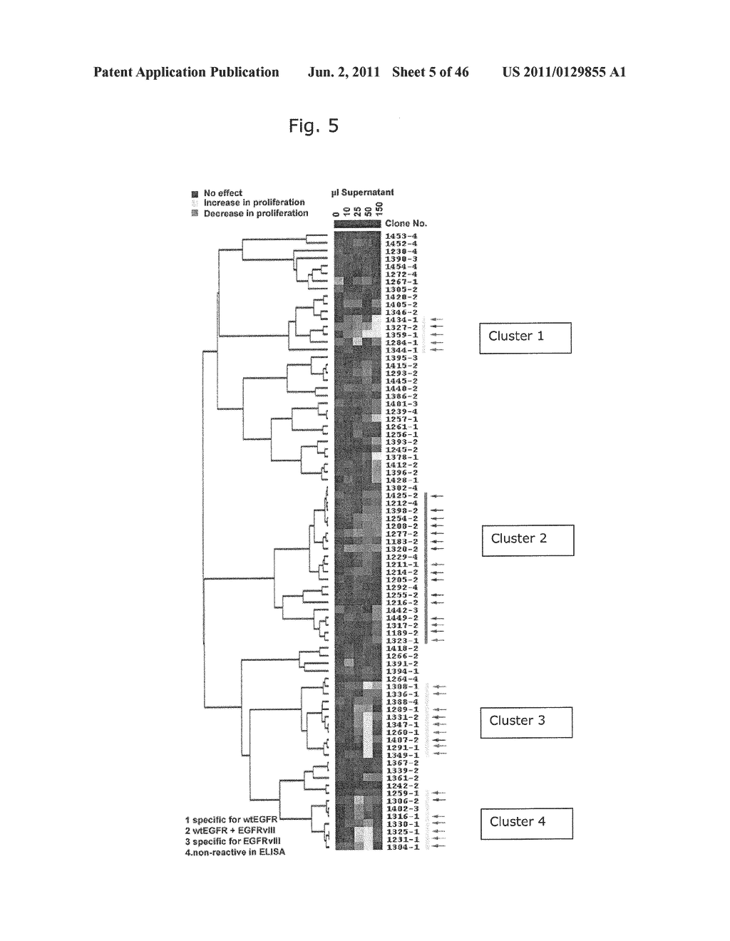 Recombinant Anti-Epidermal Growth Factor Receptor Antibody Compositions - diagram, schematic, and image 06