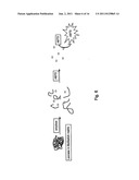 METHOD FOR MARKING MATERIALS diagram and image