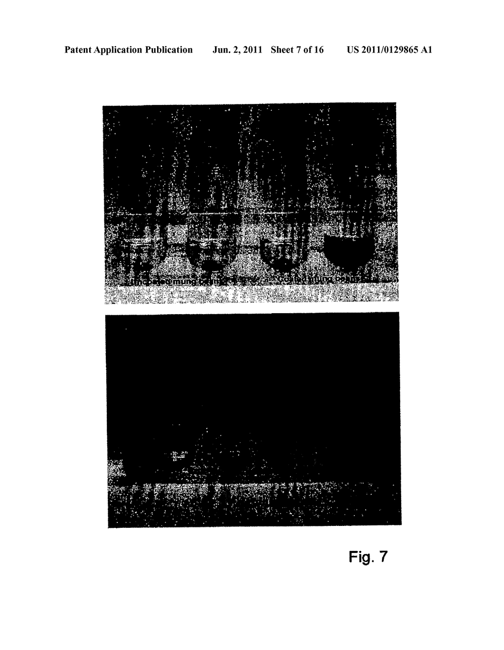 METHOD FOR MARKING MATERIALS - diagram, schematic, and image 08