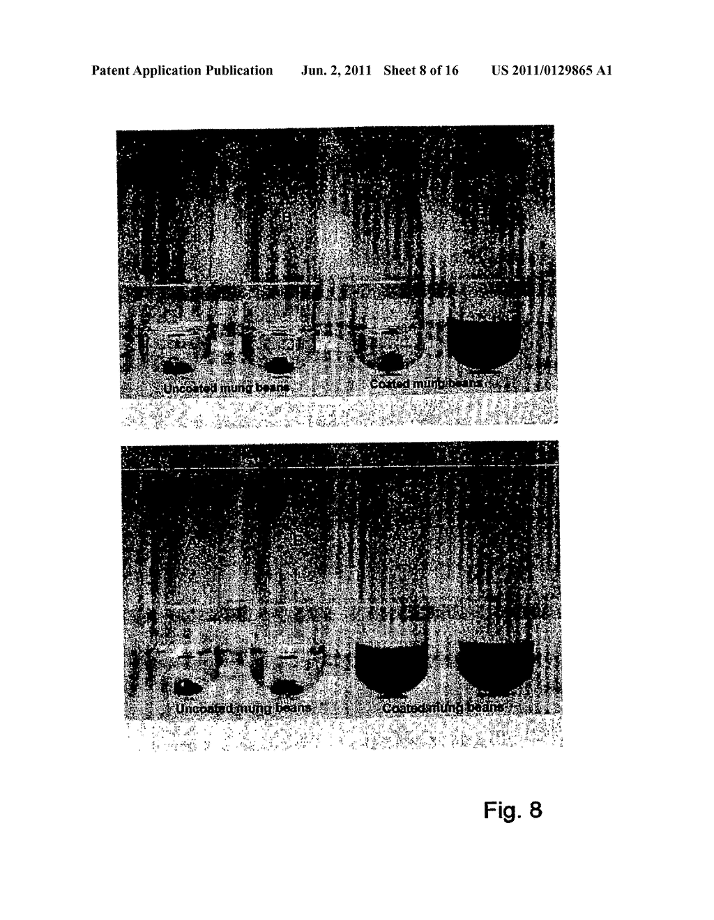 METHOD FOR MARKING MATERIALS - diagram, schematic, and image 09