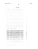 RECOMBINANT BETA-GLUCOSIDASE VARIANTS FOR PRODUCTION OF SOLUBLE SUGARS     FROM CELLULOSIC BIOMASS diagram and image