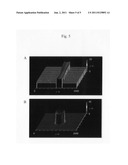 PRODUCTION OF CELL TISSUE HAVING THREE-DIMENSIONAL STRUCTURE USING     ELECTROSTATIC INK JET PHENOMENON diagram and image