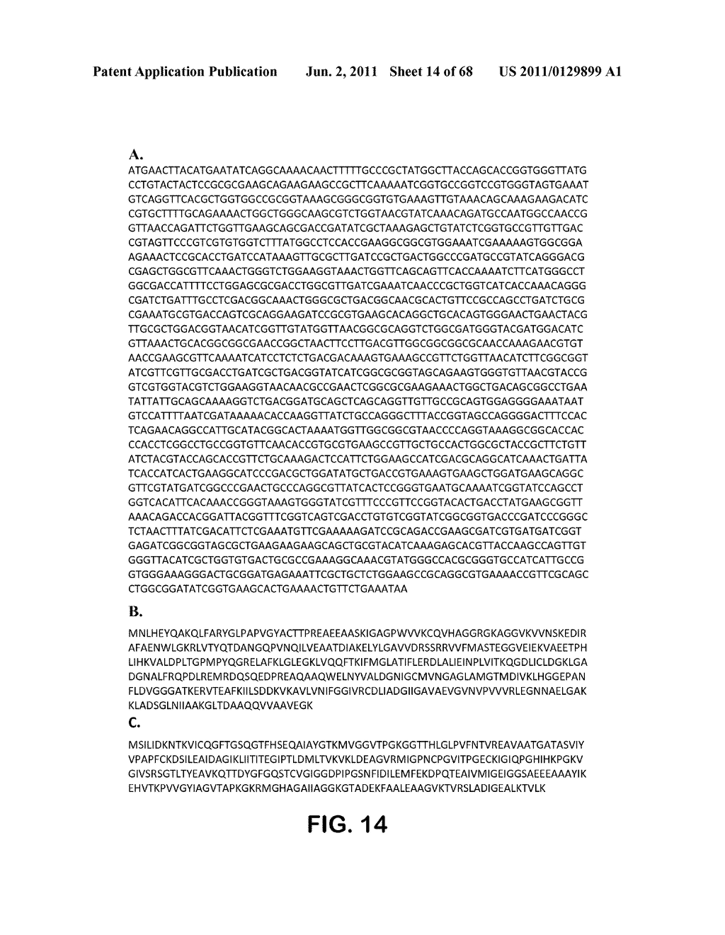 MICROORGANISMS FOR THE PRODUCTION OF 1,4-BUTANEDIOL, 4-HYDROXYBUTANAL,     4-HYDROXYBUTYRYL-COA, PUTRESCINE AND RELATED COMPOUNDS, AND METHODS     RELATED THERETO - diagram, schematic, and image 15