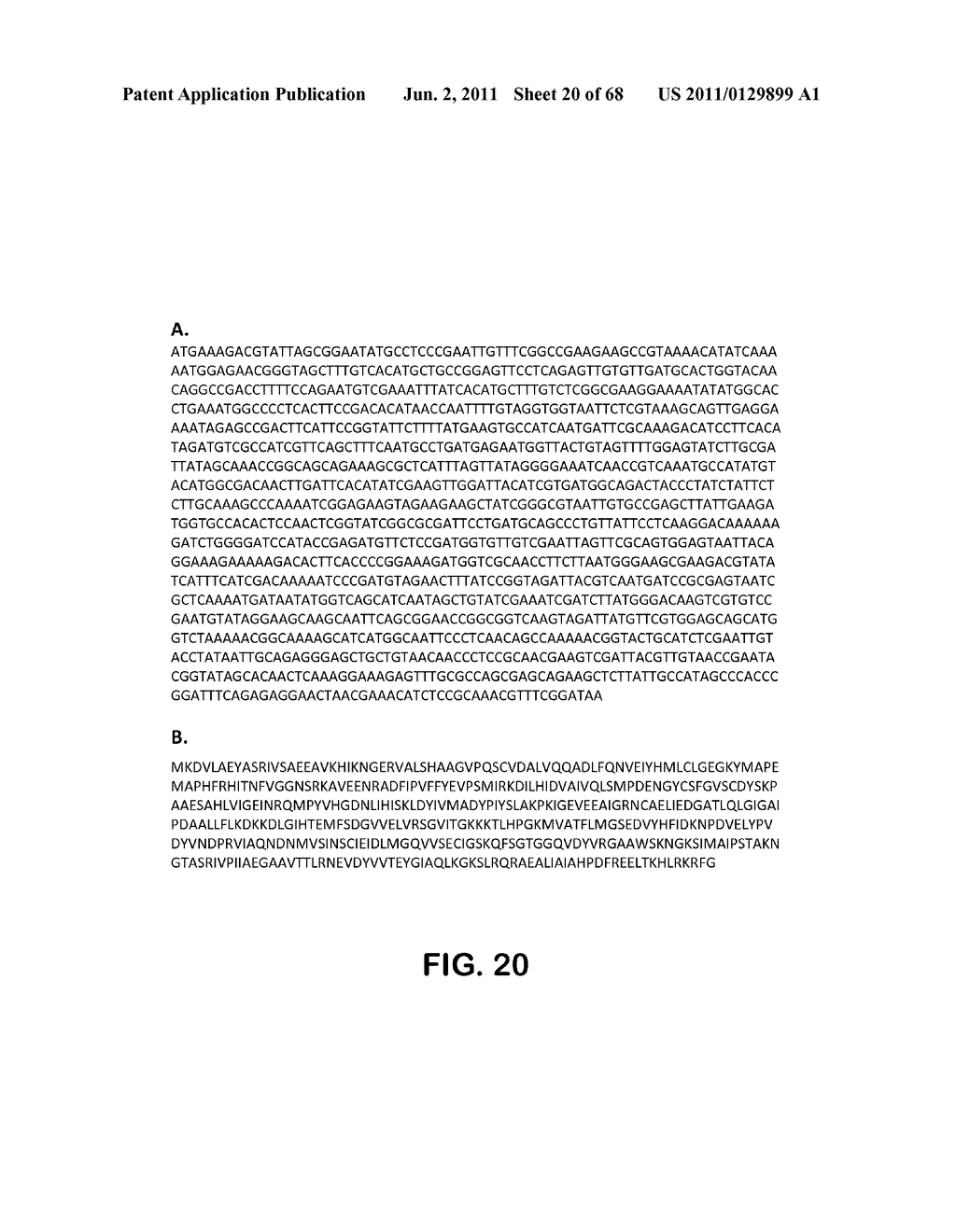 MICROORGANISMS FOR THE PRODUCTION OF 1,4-BUTANEDIOL, 4-HYDROXYBUTANAL,     4-HYDROXYBUTYRYL-COA, PUTRESCINE AND RELATED COMPOUNDS, AND METHODS     RELATED THERETO - diagram, schematic, and image 21