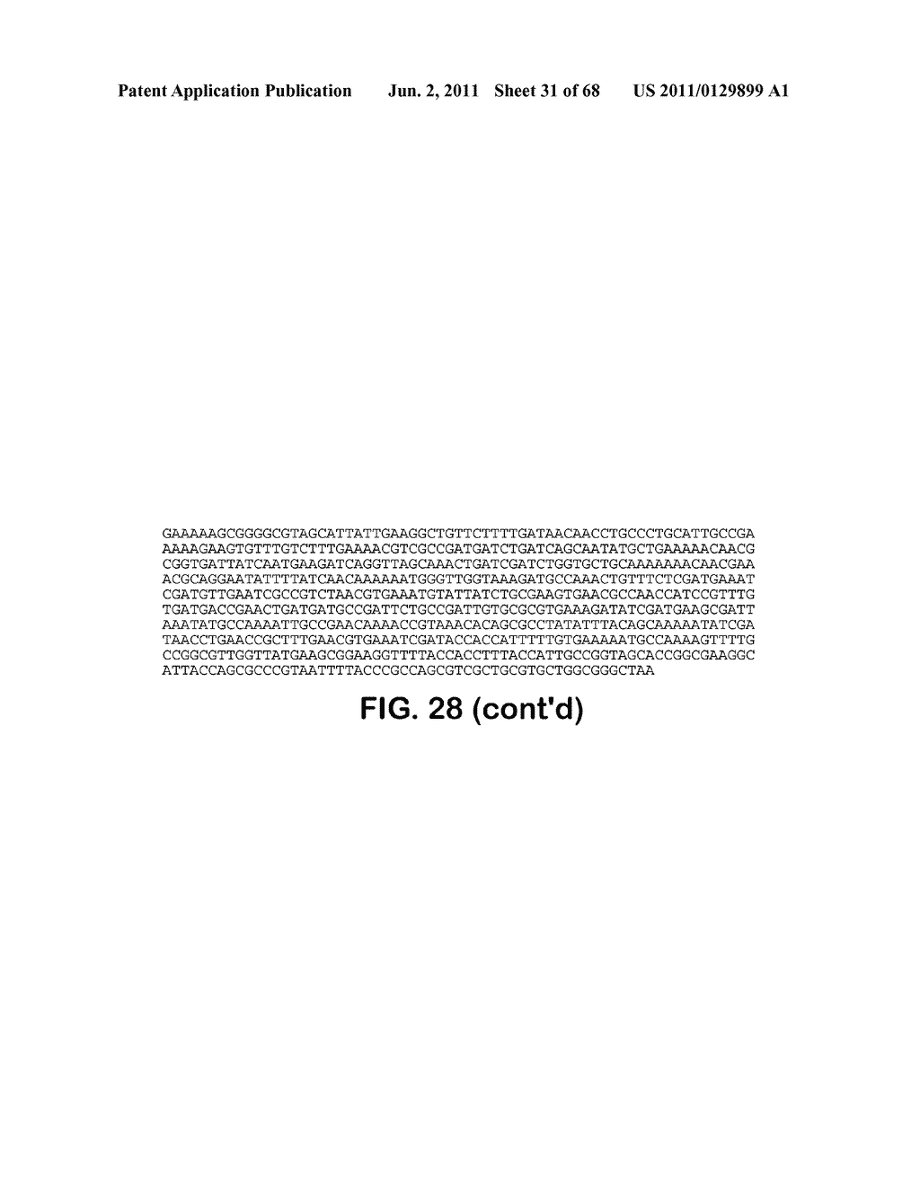 MICROORGANISMS FOR THE PRODUCTION OF 1,4-BUTANEDIOL, 4-HYDROXYBUTANAL,     4-HYDROXYBUTYRYL-COA, PUTRESCINE AND RELATED COMPOUNDS, AND METHODS     RELATED THERETO - diagram, schematic, and image 32