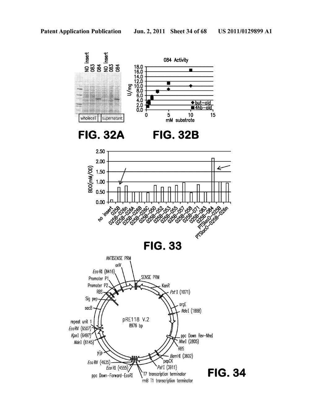 MICROORGANISMS FOR THE PRODUCTION OF 1,4-BUTANEDIOL, 4-HYDROXYBUTANAL,     4-HYDROXYBUTYRYL-COA, PUTRESCINE AND RELATED COMPOUNDS, AND METHODS     RELATED THERETO - diagram, schematic, and image 35