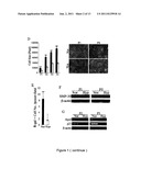 METHOD FOR EXPANDING MESENCHYMAL STEM CELLS IN LOW-DENSITY AND HYPOXIC     CULTURE diagram and image