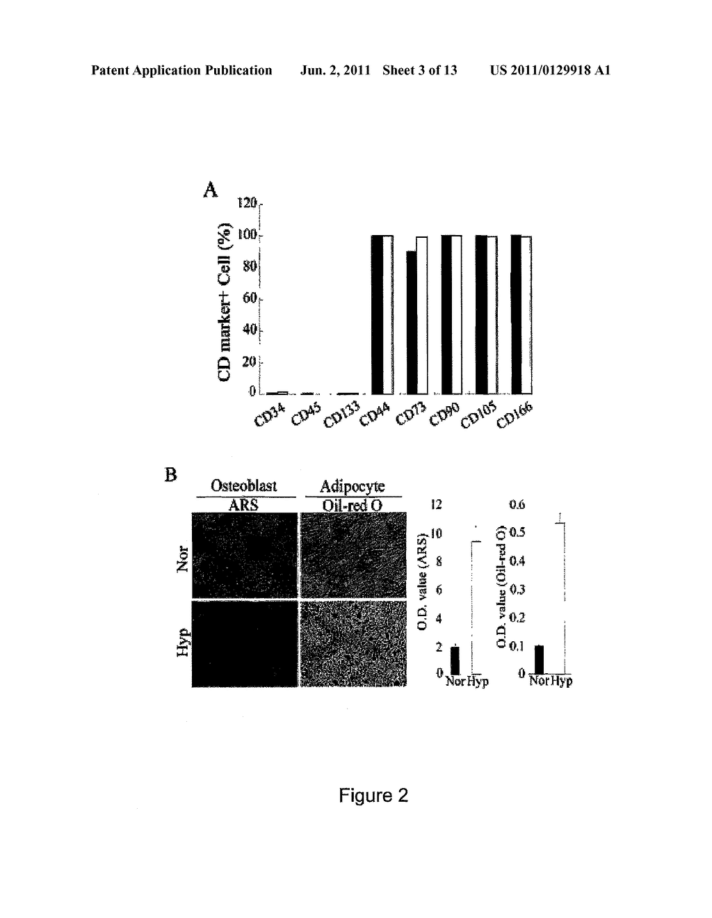 METHOD FOR EXPANDING MESENCHYMAL STEM CELLS IN LOW-DENSITY AND HYPOXIC     CULTURE - diagram, schematic, and image 04