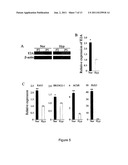 METHOD FOR EXPANDING MESENCHYMAL STEM CELLS IN LOW-DENSITY AND HYPOXIC     CULTURE diagram and image