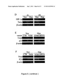 METHOD FOR EXPANDING MESENCHYMAL STEM CELLS IN LOW-DENSITY AND HYPOXIC     CULTURE diagram and image