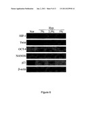 METHOD FOR EXPANDING MESENCHYMAL STEM CELLS IN LOW-DENSITY AND HYPOXIC     CULTURE diagram and image