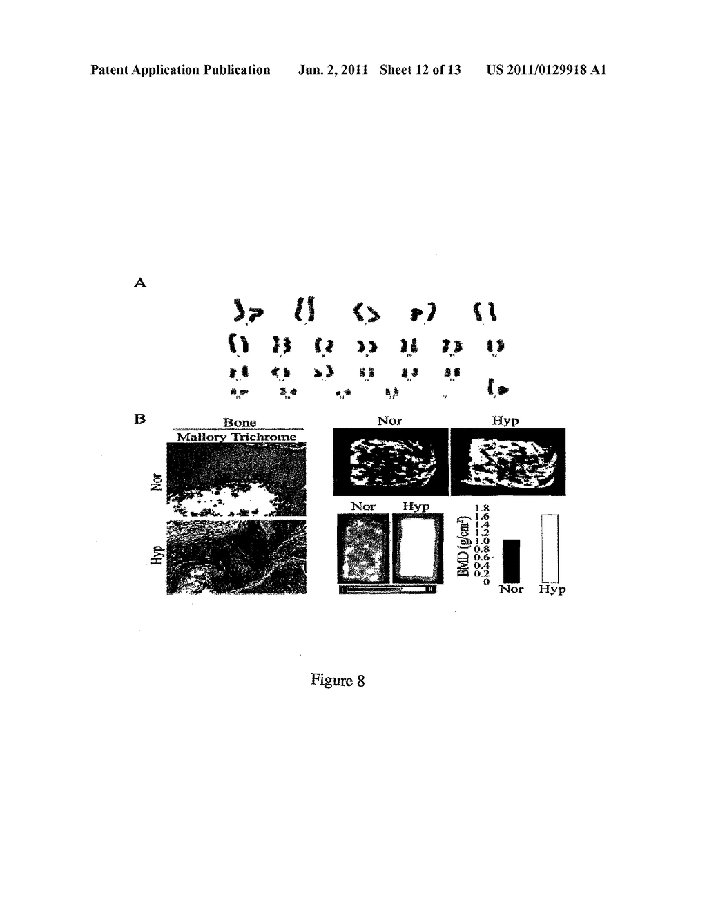 METHOD FOR EXPANDING MESENCHYMAL STEM CELLS IN LOW-DENSITY AND HYPOXIC     CULTURE - diagram, schematic, and image 13