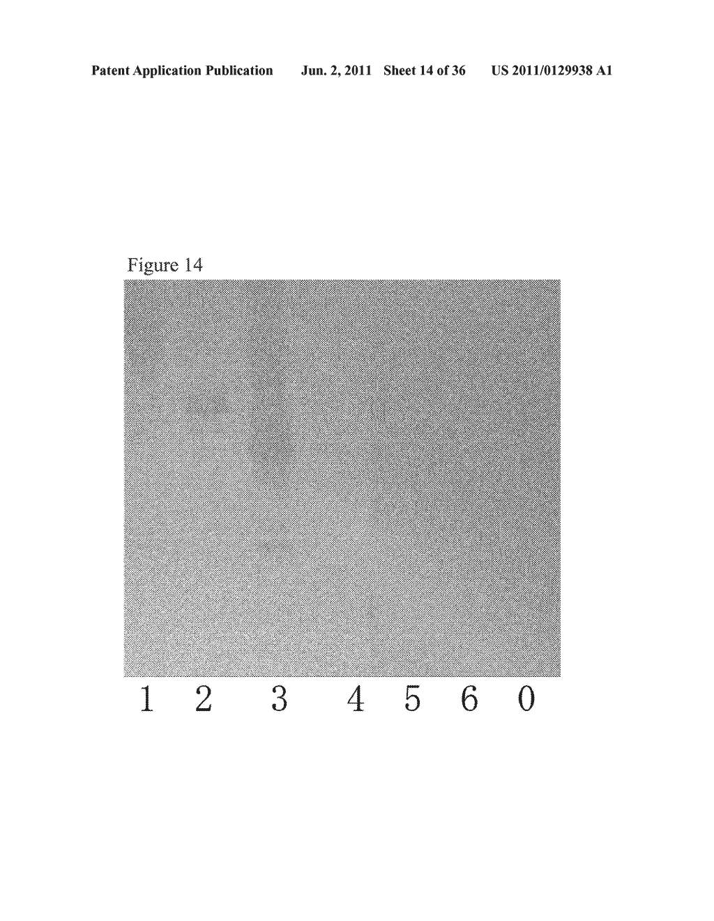 L-FUCOSE ALPHA1-6 SPECIFIC LECTIN - diagram, schematic, and image 15