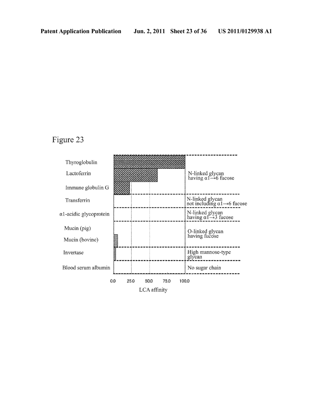 L-FUCOSE ALPHA1-6 SPECIFIC LECTIN - diagram, schematic, and image 24