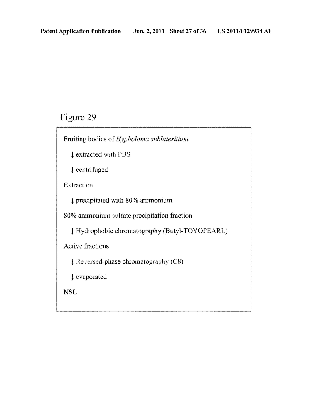 L-FUCOSE ALPHA1-6 SPECIFIC LECTIN - diagram, schematic, and image 28