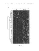 IN VITRO DIAGNOSIS/PROGNOSIS METHOD AND KIT FOR ASSESSMENT OF TOLERANCE IN     LIVER TRANSPLANTATION diagram and image