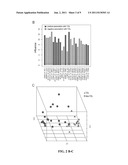 IN VITRO DIAGNOSIS/PROGNOSIS METHOD AND KIT FOR ASSESSMENT OF TOLERANCE IN     LIVER TRANSPLANTATION diagram and image