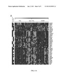 IN VITRO DIAGNOSIS/PROGNOSIS METHOD AND KIT FOR ASSESSMENT OF TOLERANCE IN     LIVER TRANSPLANTATION diagram and image