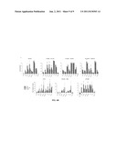 IN VITRO DIAGNOSIS/PROGNOSIS METHOD AND KIT FOR ASSESSMENT OF TOLERANCE IN     LIVER TRANSPLANTATION diagram and image