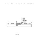 METHOD FOR CREATING A VIRAL GENOMIC LIBRARY, A VIRAL GENOMIC LIBRARY AND A     KIT FOR CREATING THE SAME diagram and image