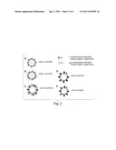 ASSAY SYSTEM TO IDENTIFY THERAPEUTIC AGENTS diagram and image