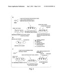 ASSAY SYSTEM TO IDENTIFY THERAPEUTIC AGENTS diagram and image