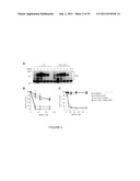 METHODS OF IDENTIFYING ANTI-CANCER AGENTS AND USES THEREOF diagram and image