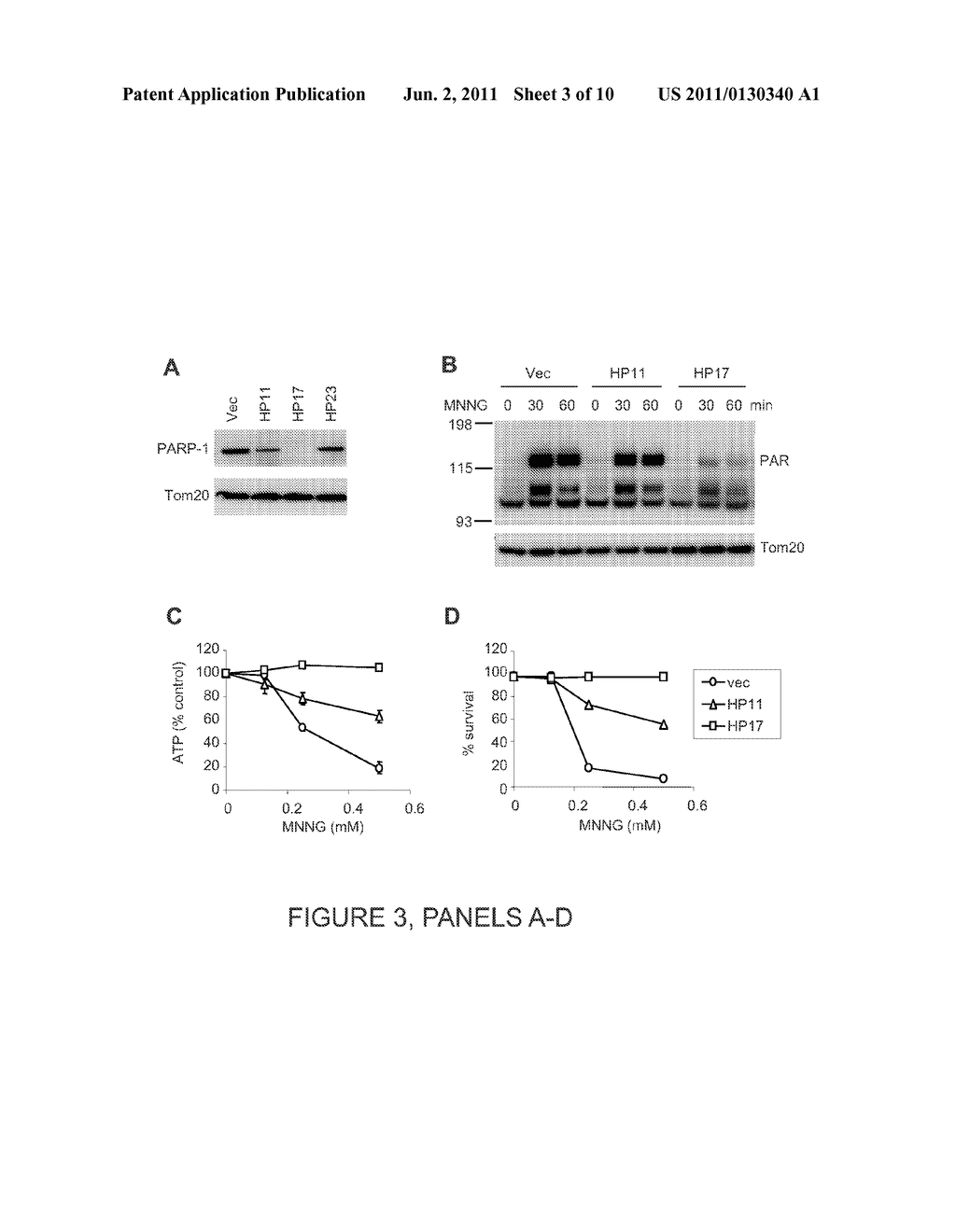 METHODS OF IDENTIFYING ANTI-CANCER AGENTS AND USES THEREOF - diagram, schematic, and image 04