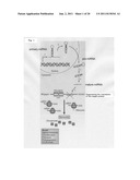 METHOD AND KIT FOR DETECTION OF CANCER, AND THERAPEUTIC AGENT FOR CANCER diagram and image