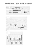 METHOD AND KIT FOR DETECTION OF CANCER, AND THERAPEUTIC AGENT FOR CANCER diagram and image