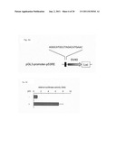 METHOD AND KIT FOR DETECTION OF CANCER, AND THERAPEUTIC AGENT FOR CANCER diagram and image