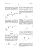 Compounds and Methods for Treating Toll-Like Receptor 2-Related Diseases     and Conditions diagram and image